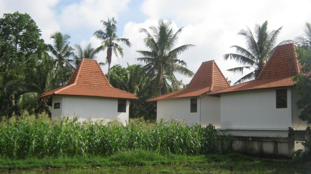 Mahanadewi Villa أوبود المظهر الخارجي الصورة